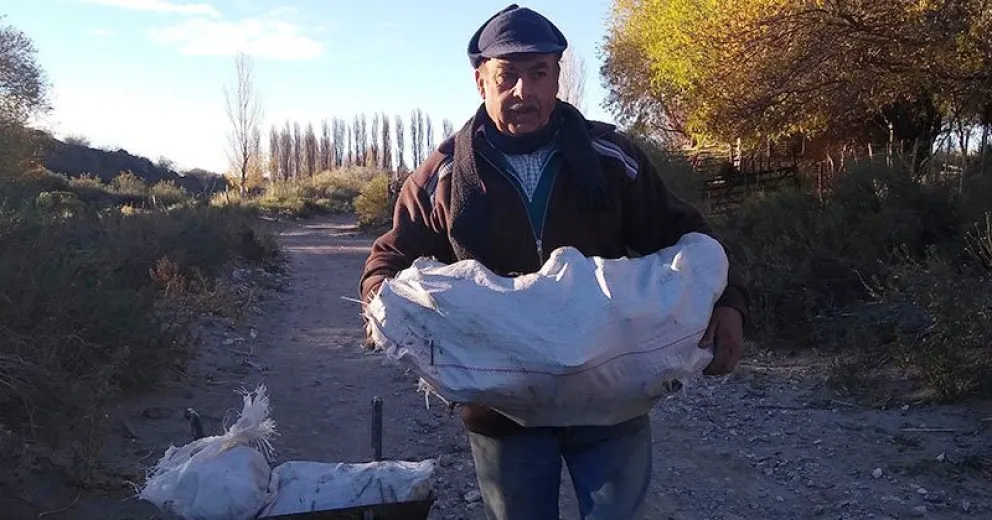 Plan Calor: continúa la entrega de leña a los hogares más vulnerables de la provincia