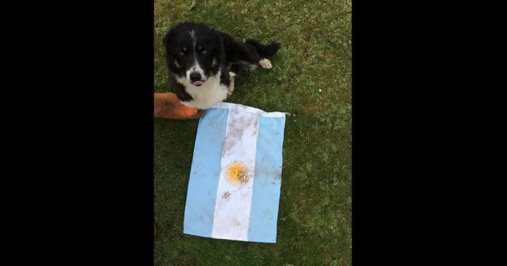 Venta de empanadas para sumar ayuda a los perritos de la ciudad