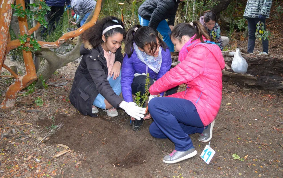 Restauración costera de un importante sitio para la conservación del huillín