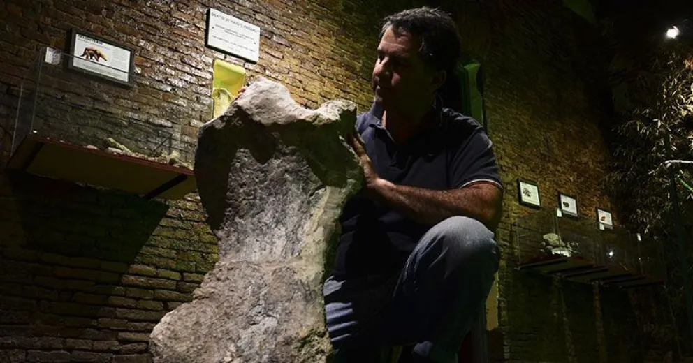 Descubren un perezoso gigante de 700 mil años de antigüedad en Buenos Aires