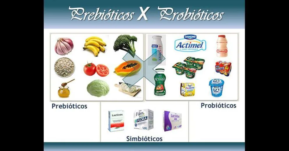 Alimentos fermentados y ricos en probióticos, claves para la prevención de enfermedades