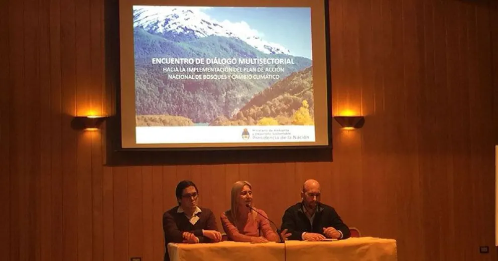 Nación presenta futuro Plan de Acción de Bosques y Cambio Climático