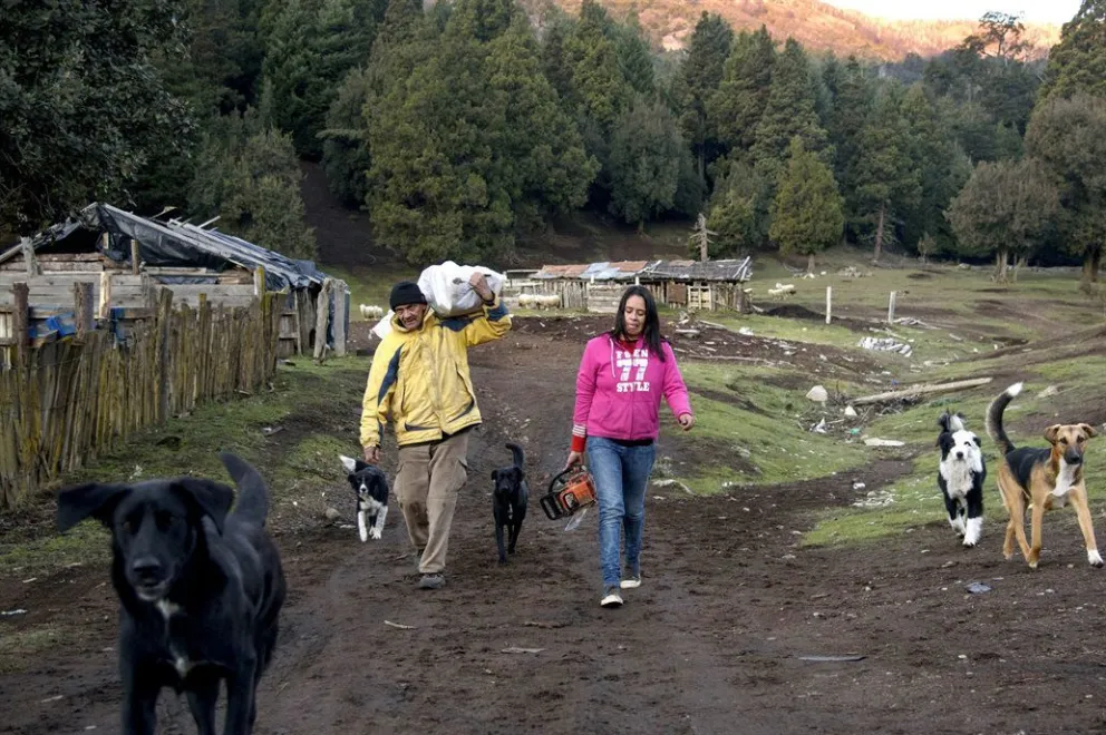 El gobierno debe entregar títulos de propiedad a mapuches