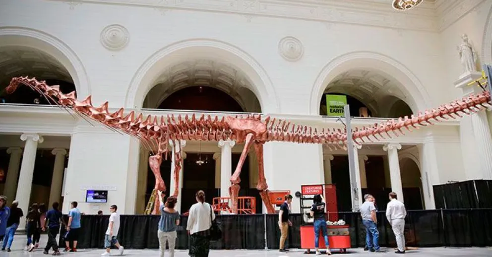 El dinosaurio más grande del mundo: de Trelew a Chicago