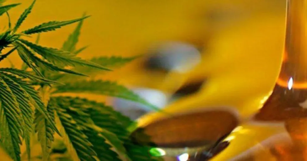 Aceite de Cannabis: Pesatti pidió tratamiento legislativo