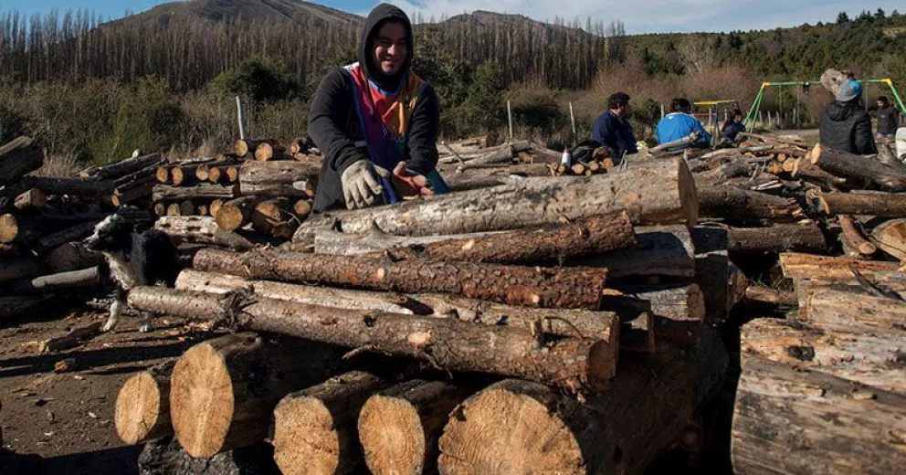 Cómo sigue la entrega de leña del Plan Calor la próxima semana