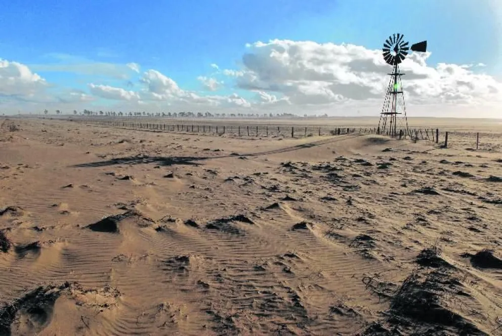 Día Mundial de la Lucha contra la Desertificación y la Sequía