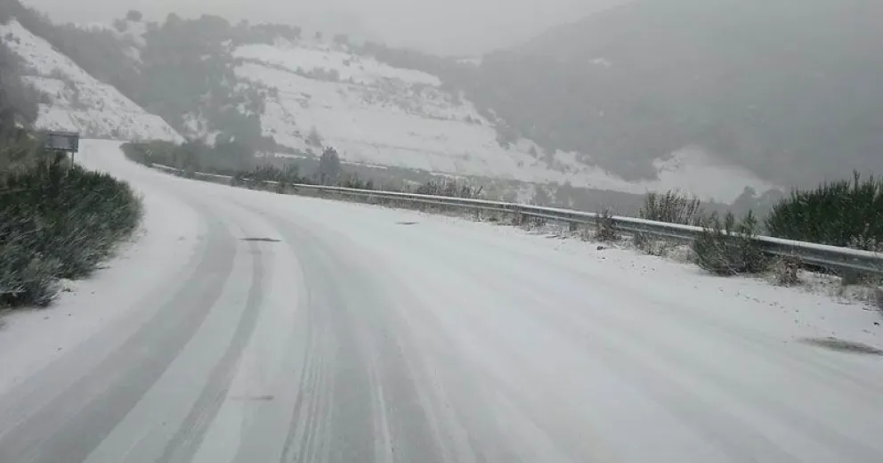 Precaución al circular por Ruta 40 de Bariloche a El Bolsón