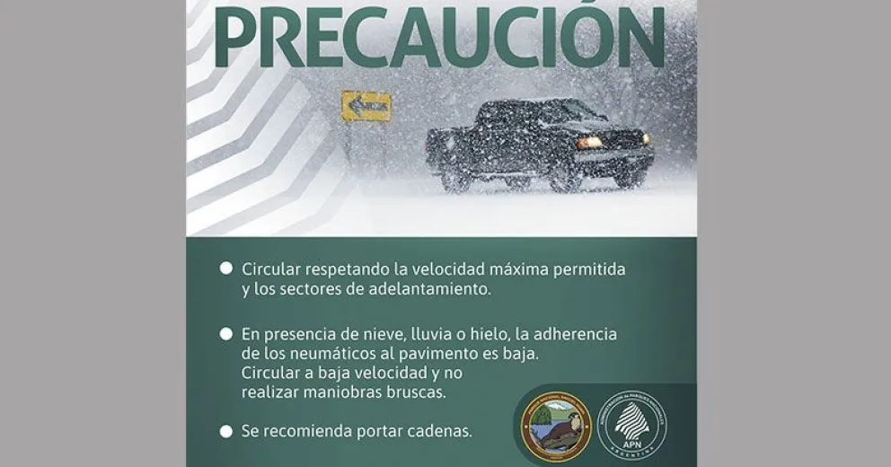 Camino a Cerro Tronador transitable en forma condicional   