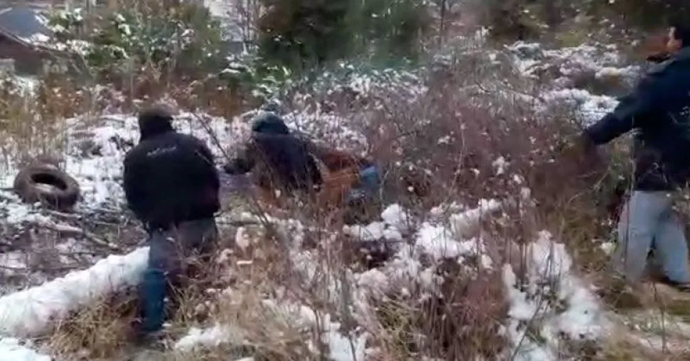 Rescataron un caballo que había sido abandonado y casi muere congelado