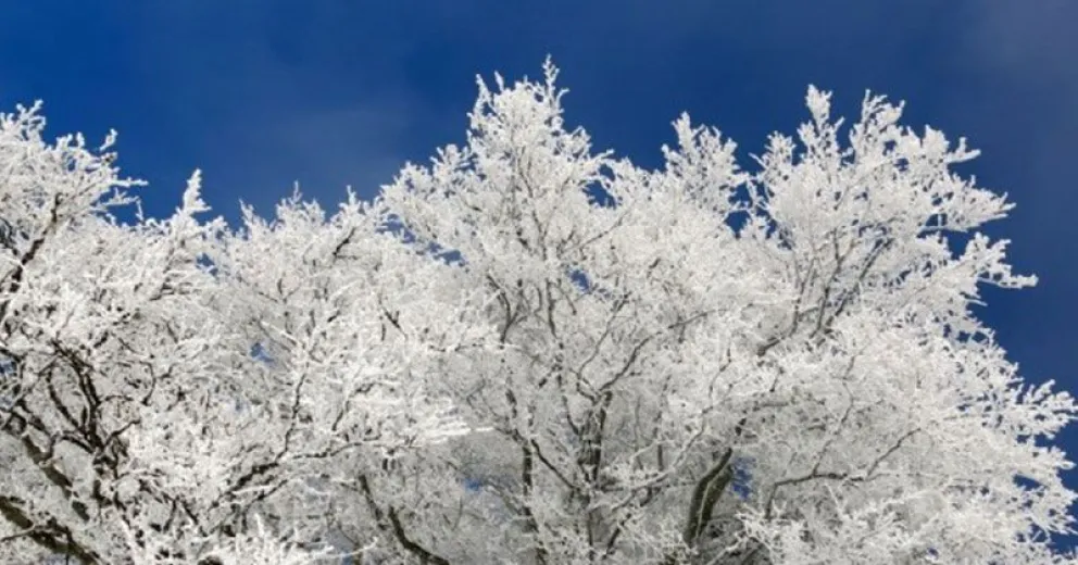 ¿Cómo influye el Sol en las nevadas de montaña?