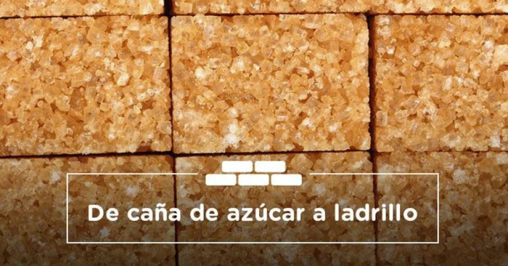 Producirían ladrillos “low cost” para reducir costos hasta un 40%