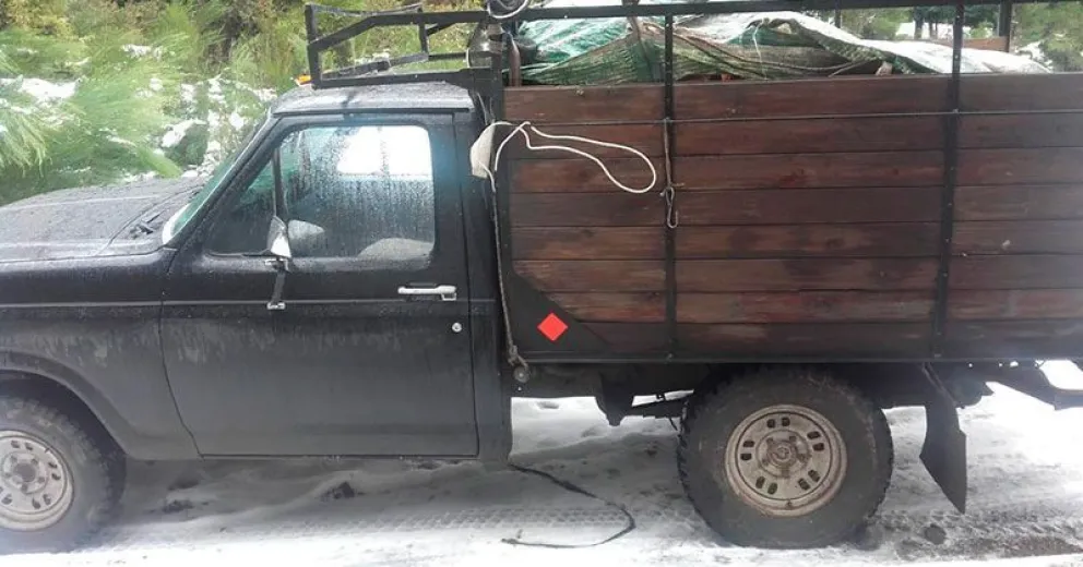 Secuestran coihues talados en Villa Tacul