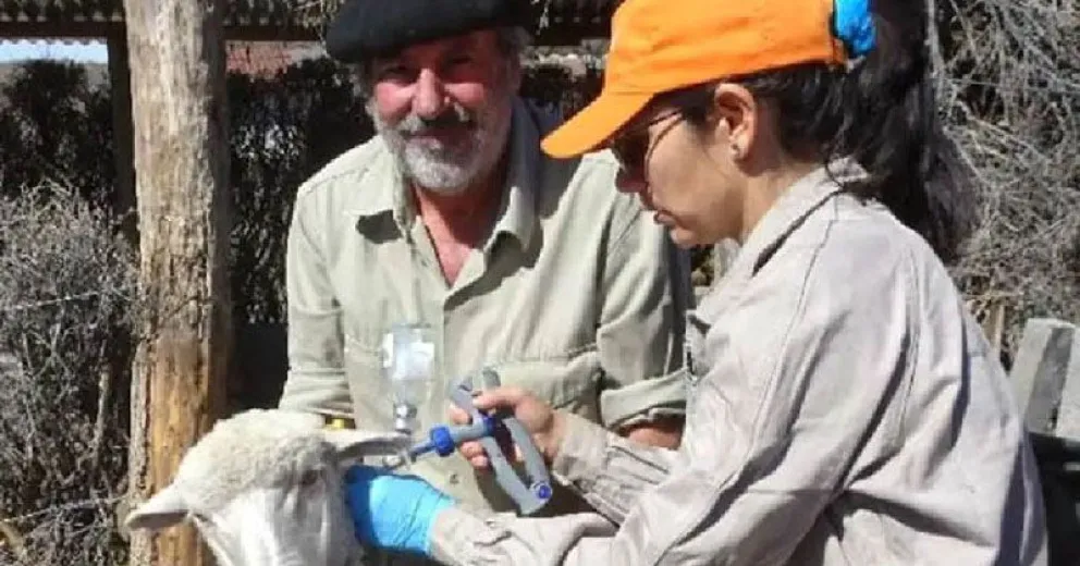 Un programa rionegrino de salud es ejemplo para el mundo