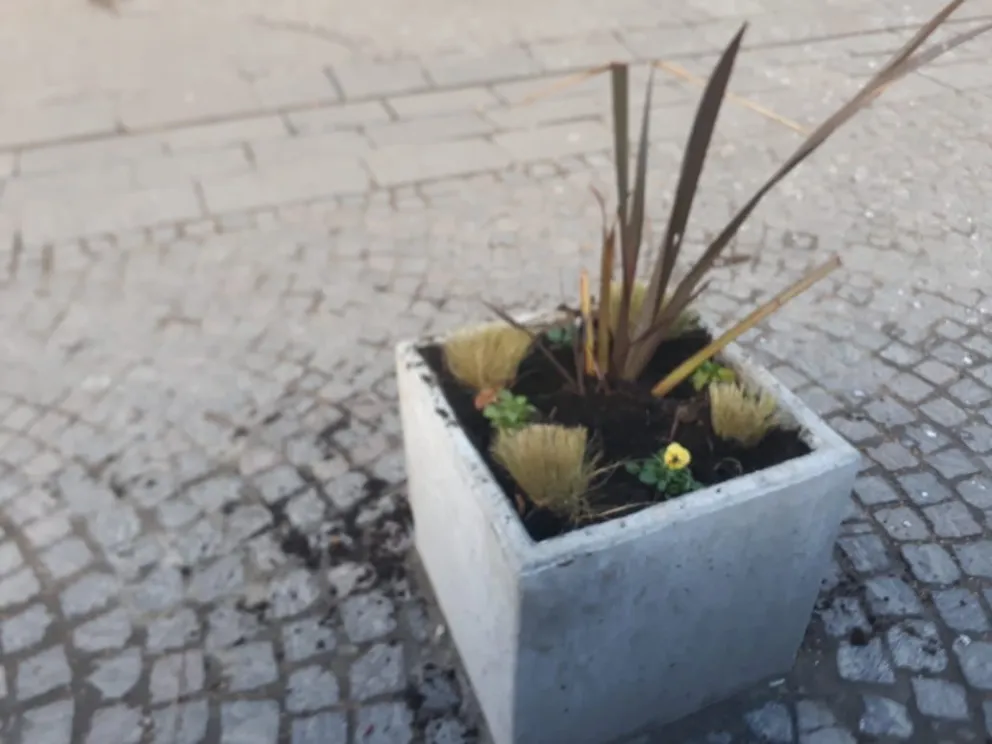 Continúan los trabajos de Parques y Jardines en el acceso y el Centro Cívico