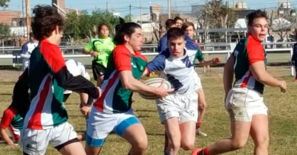 La M17 de Pehuenes fue torazo en rodeo ajeno