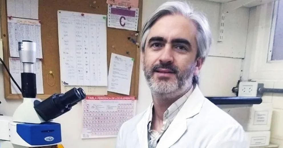 Investigador del CONICET premiado por sus estudios sobre el efecto de la yerba mate en los huesos