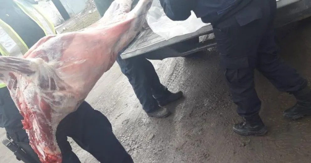 Era requerido por la justicia y además llevaba animales faenados sin autorización