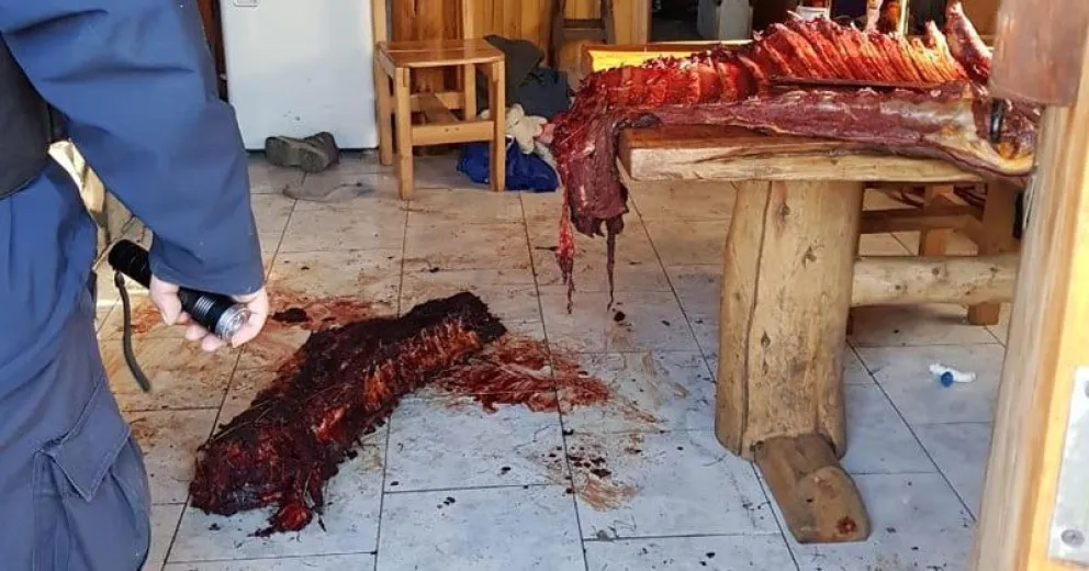 Secuestraron restos de un equino que fue robado y despostado en el oeste