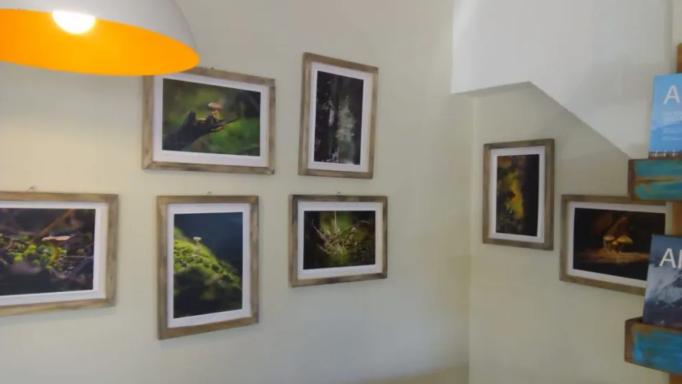 Il Piccolo, un lugar donde el café marca un estilo