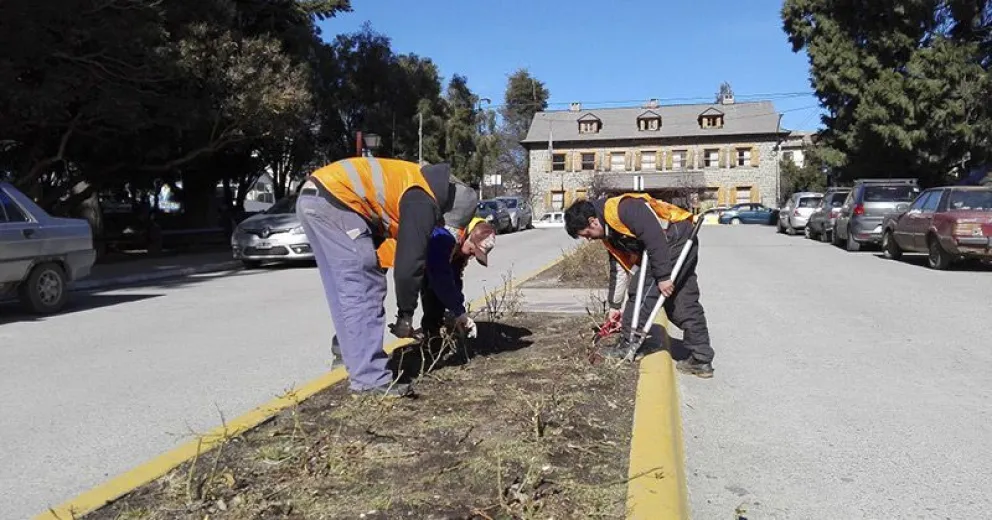 Parques y Jardines realiza tareas en diversos sectores de la ciudad