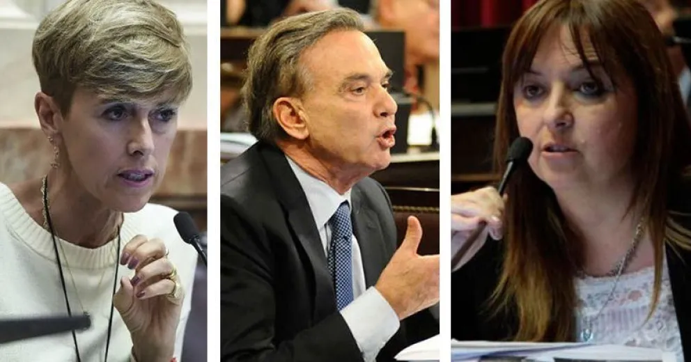 ¿Cómo fue el discurso de los senadores rionegrinos durante el debate?