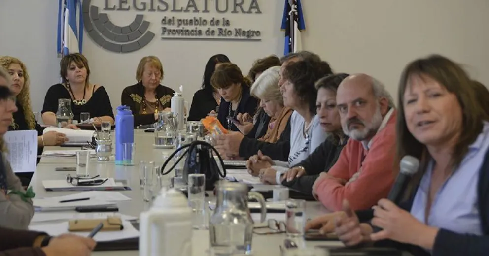 La Legislatura analizó iniciativa de cupo laboral de personas trans en la administración pública