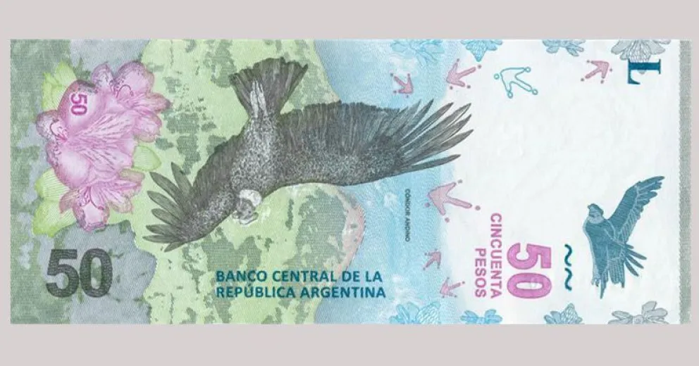 Circula desde hoy el nuevo billete de 50 pesos