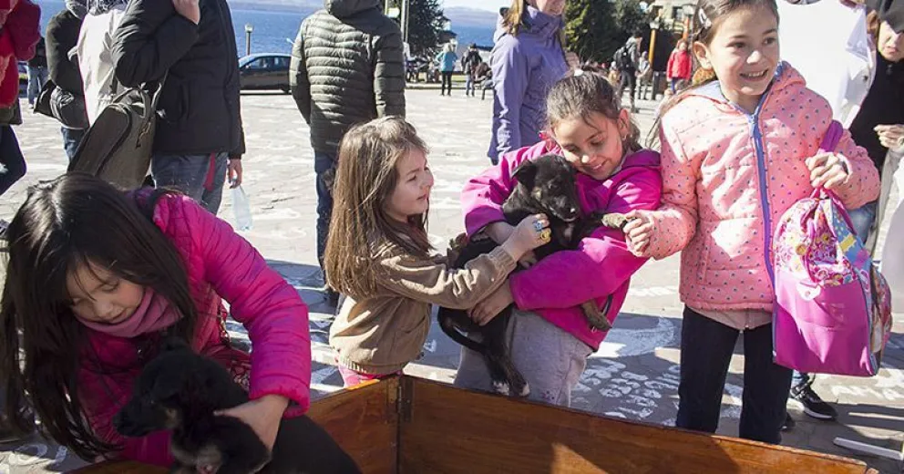 Perritos Bariloche puso a la venta artículos relacionados con las mascotas