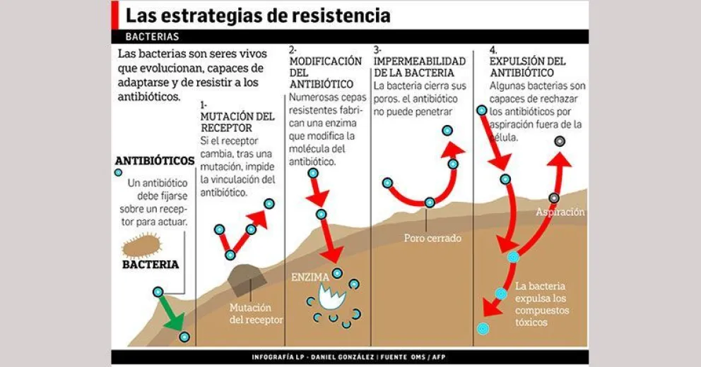 Según OMS: Hay altos niveles de resistencia a los antibióticos en todo el mundo