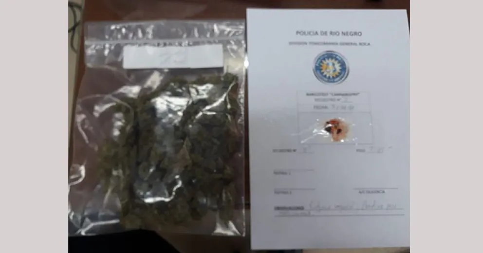 Desactivan tráfico de marihuana y droga sintética que venía hacia Bariloche   