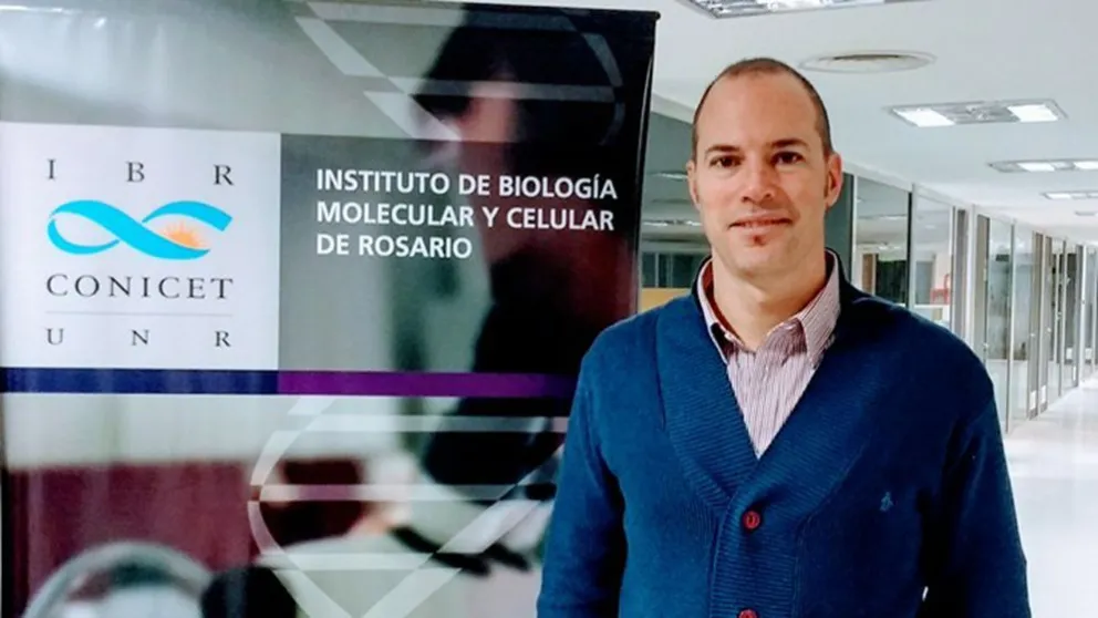 Descubren nuevos mecanismos en la fertilidad masculina