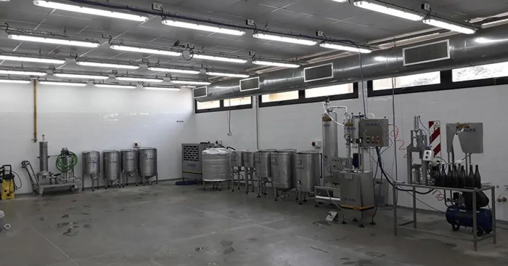 Producción de sidra rionegrina con sello universitario