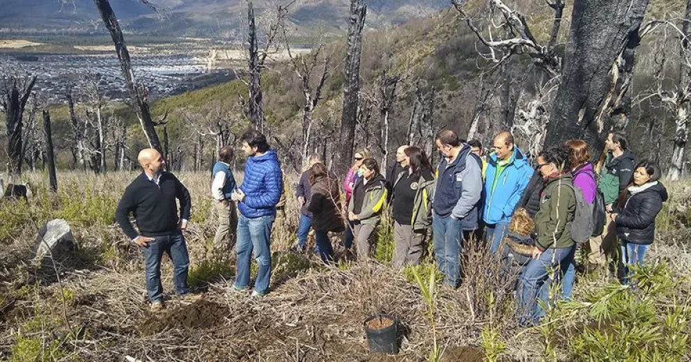 Inicio simbólico para reforestar ladera sur del cerro Otto