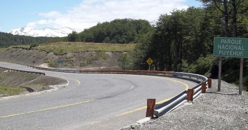 Voces a favor y en contra de privatizar la ruta que une el paso Samoré con Osorno
