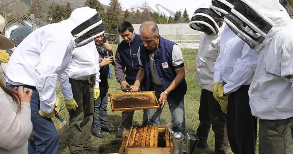 Comenzaron los cursos del programa de Agricultura Urbana y Periurbana de la Municipalidad