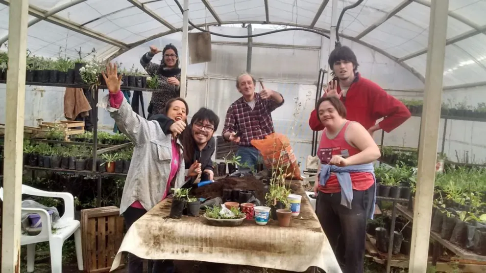 Dos días a pura feria de plantas en Cre-Arte