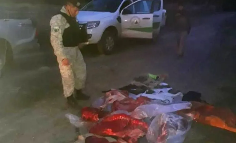 Detuvieron a un furtivo que junto a cómplices mató a un vacuno en un campo de la zona