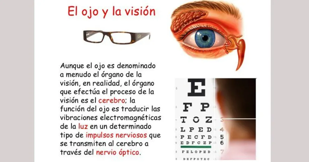 PRÓXIMO 11 DE OCTUBRE: Día Mundial de la Visión: Prevenir es ver, más y mejor