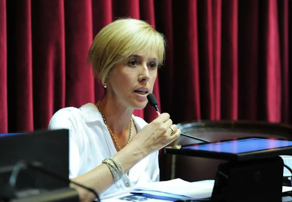 García Larraburu solicitó la sanción de la Ley de Cuidados Paliativos a la Cámara de Diputados