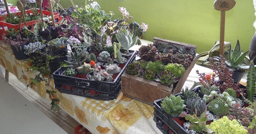 Exposición y venta de productos de pequeños emprendedores