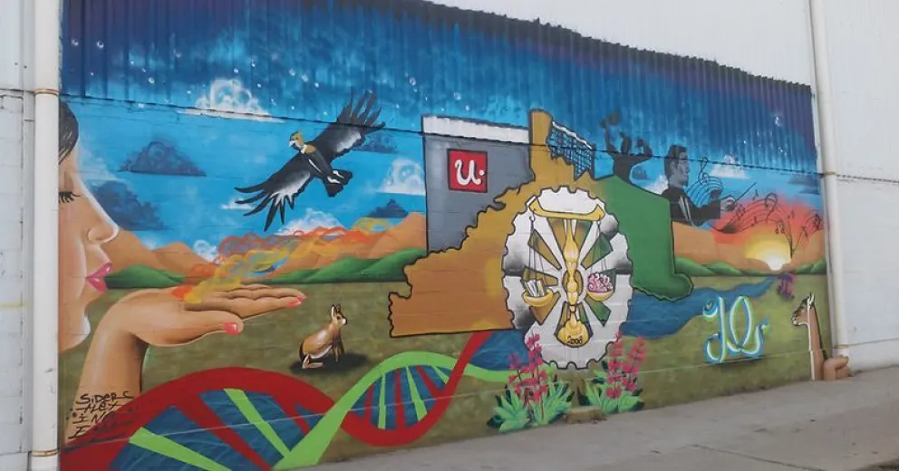 Invitan a realizar murales por los 10 años de la Universidad Nacional de Río Negro