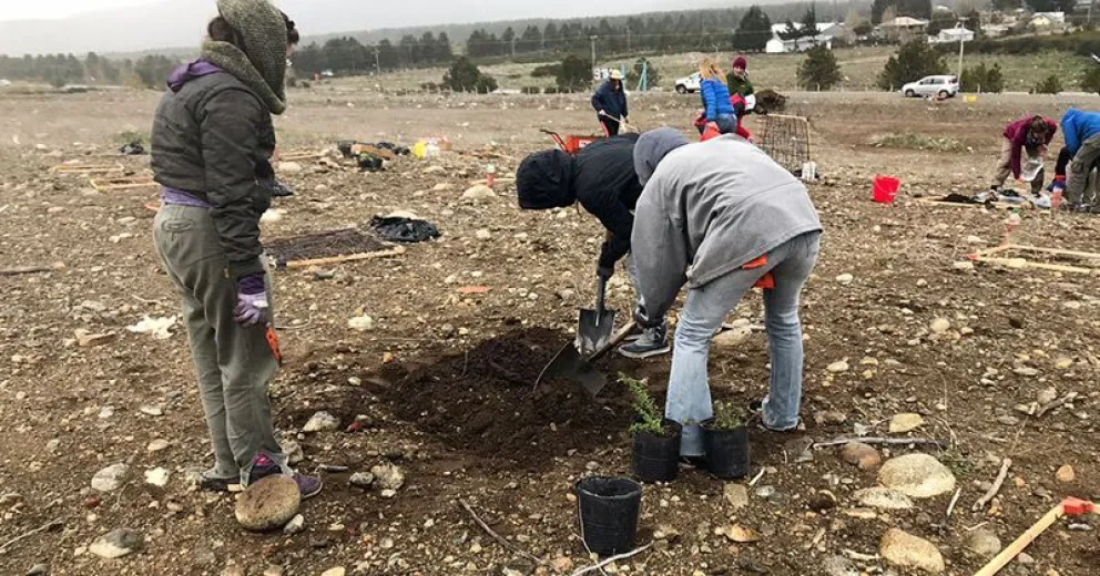 La UNRN realizó siembra y plantación en el ex vertedero