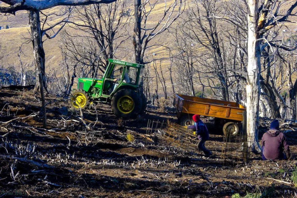 "La restauración ecológica es un trabajo en conjunto con una sociedad comprometida"