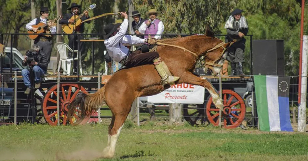Se suspenden las jineteadas en todo el país por brote de encefalomielitis equina