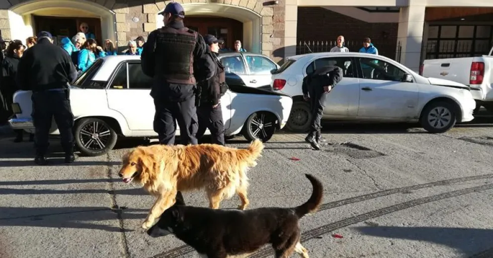 Chocó autos estacionados, intentó escaparse y pero fue detenido