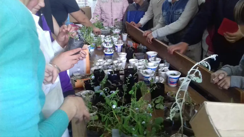 Exitosa feria solidaria de plantas