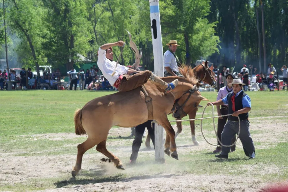 Piden salir de lo cultural y dejar de exponer a los animales a situaciones extremas.