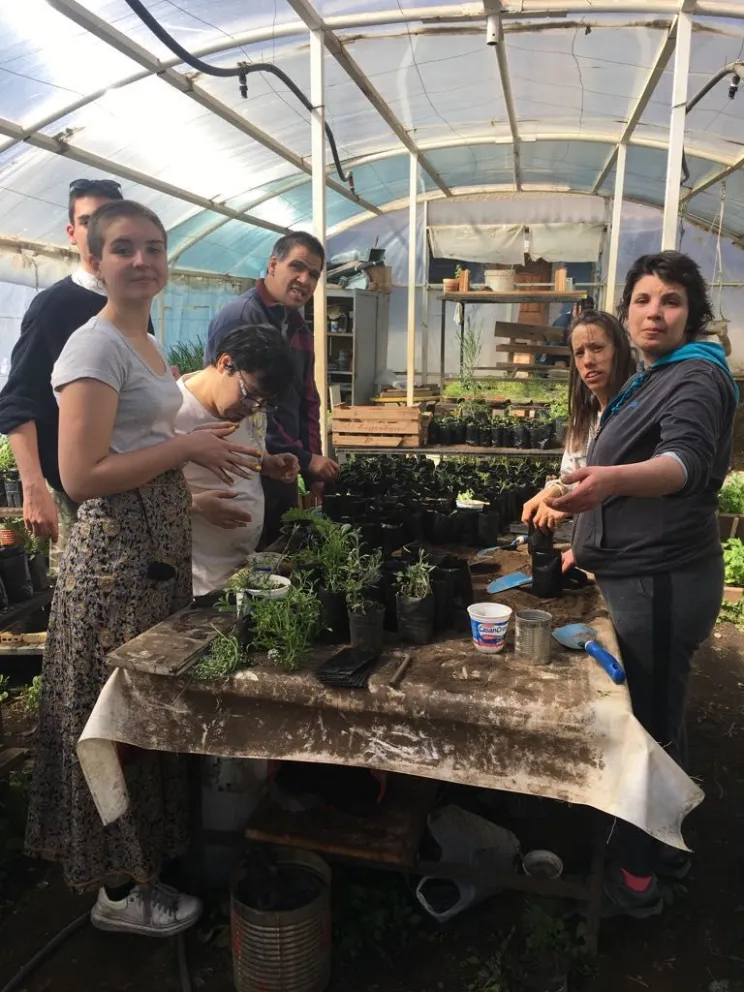 Tercera Feria de Plantas de Primavera en Cre Arte