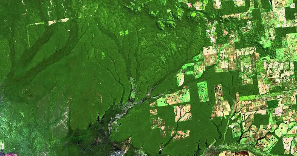 Brasil declinó organizar en 2019 la 25ª Conferencia sobre Cambio Climático
